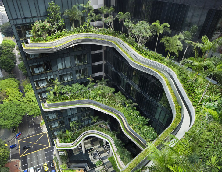 crazy green roof