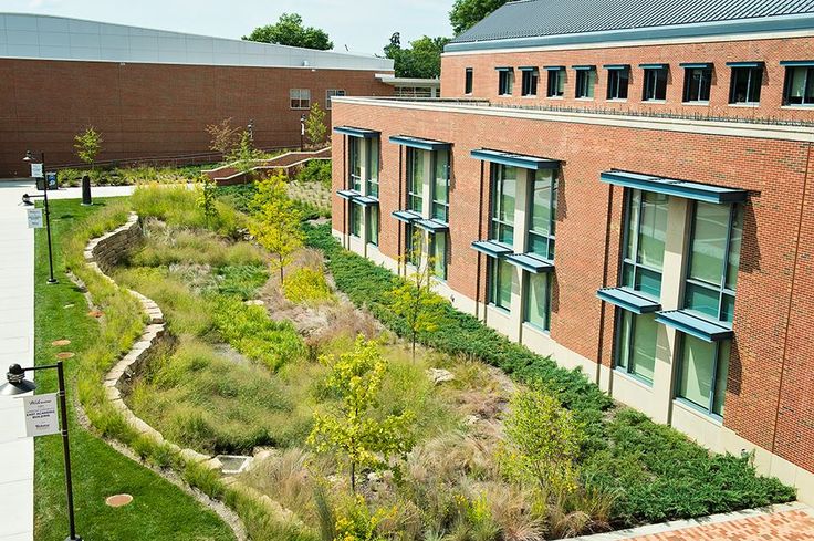 rain gardens